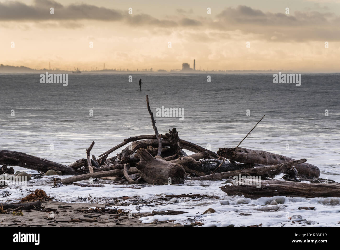 Tangled pila di driftwood bastoni e registri circondato dall'acqua schiumosa con stagliano stand up paddler e Ventura power plant in distanza. Foto Stock
