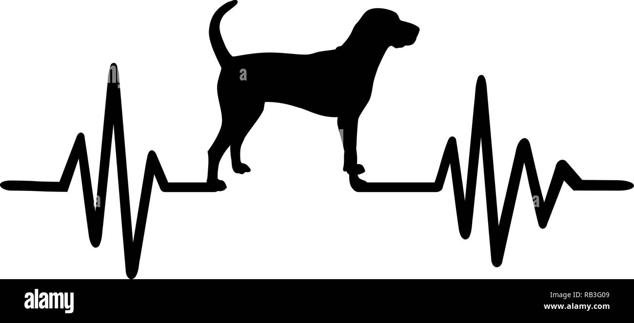 Impulso di heartbeat di linea con American English Coonhound cane silhouette Illustrazione Vettoriale