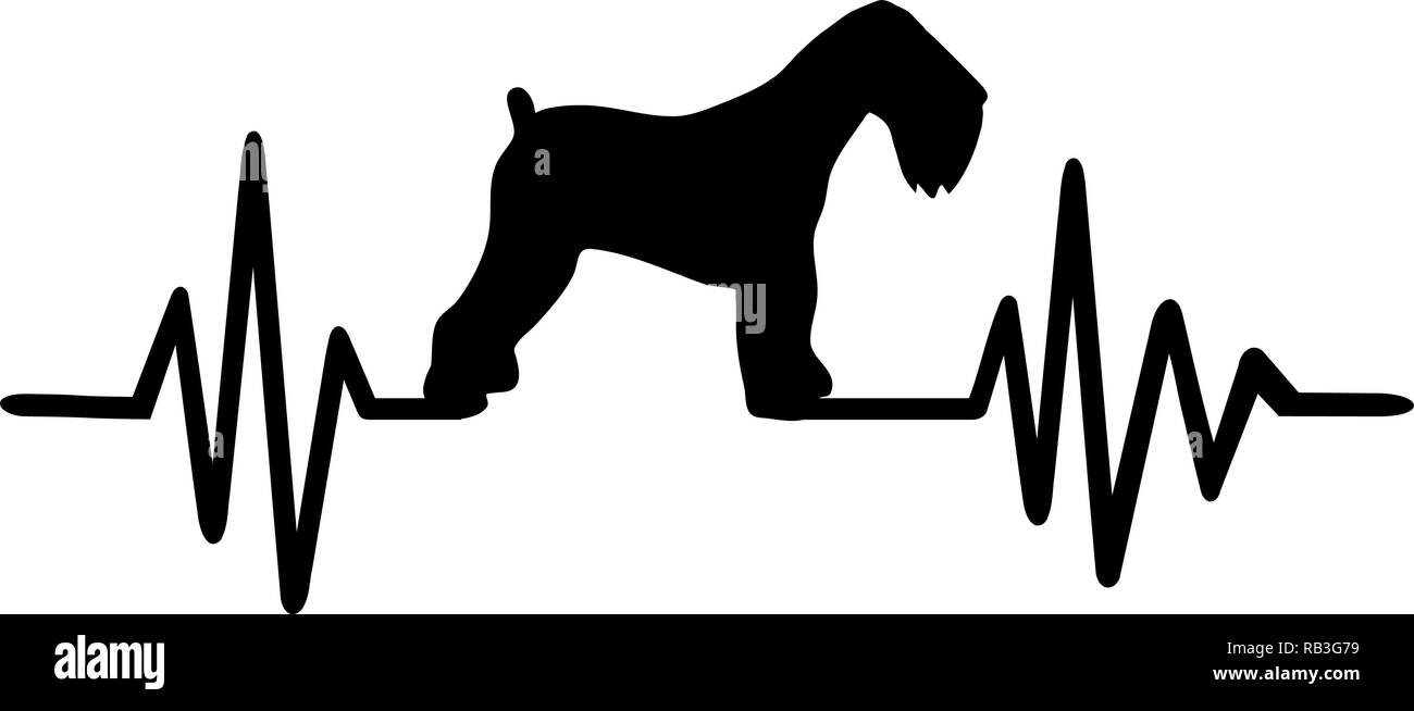 Impulso di heartbeat di linea con Black Russian Terrier silhouette Illustrazione Vettoriale