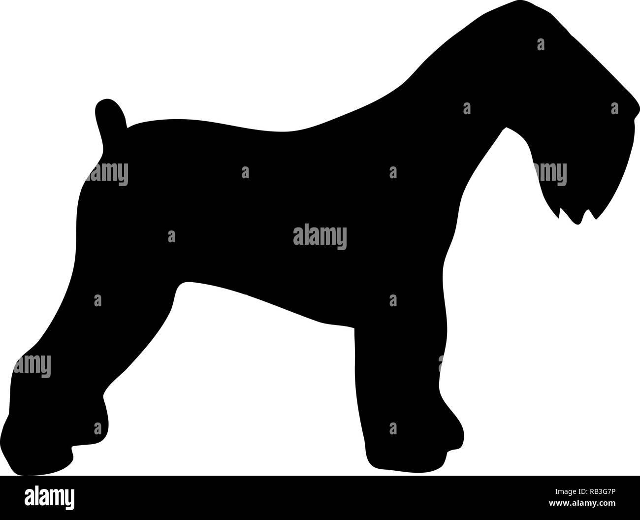 Black Russian Terrier silhouette real in nero Illustrazione Vettoriale