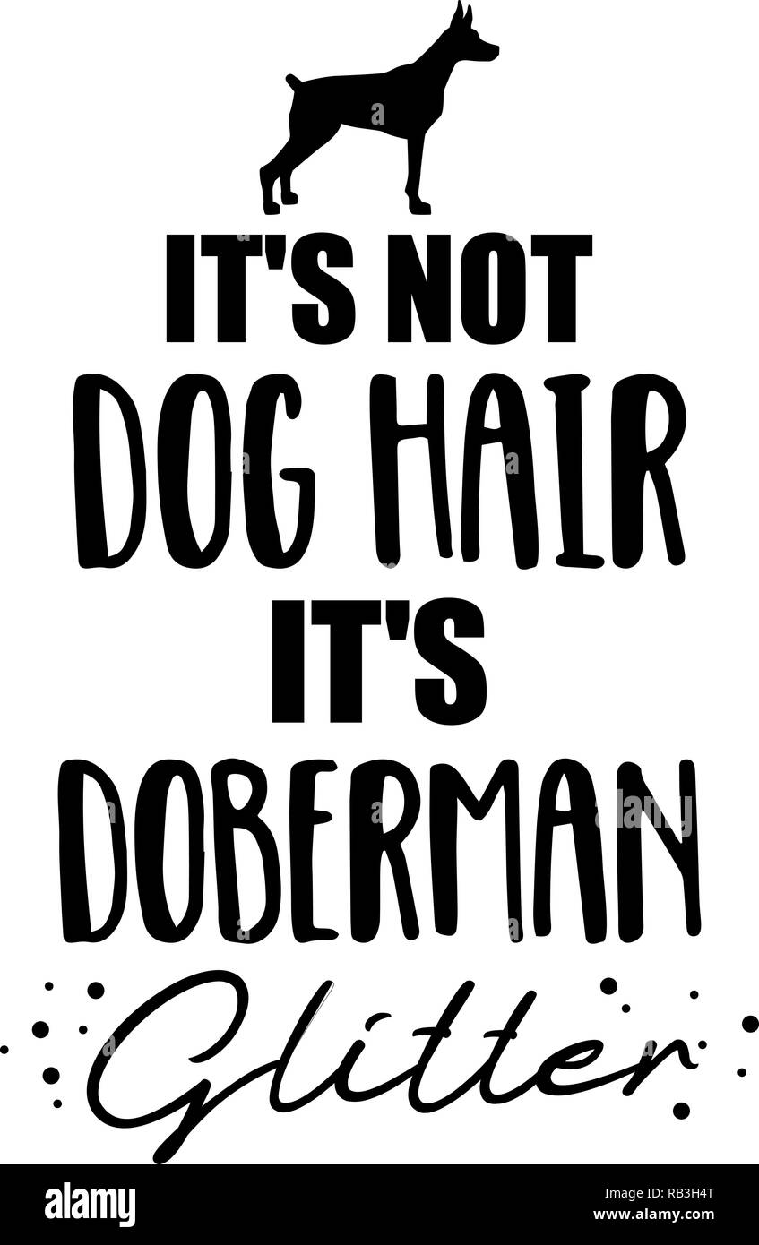 Non si tratta di capelli del cane, è Doberman glitter slogan Illustrazione Vettoriale