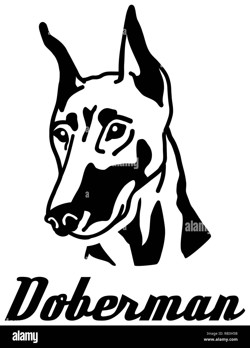 Testa Doberman con il nome di bianco nero Illustrazione Vettoriale