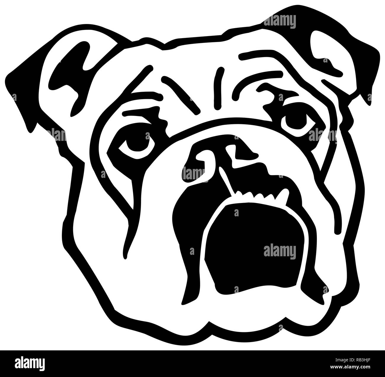 Bulldog inglese faccia in bianco e nero Illustrazione Vettoriale