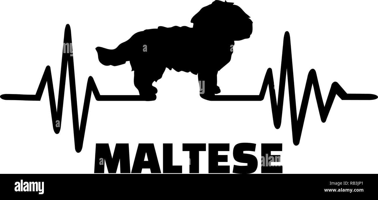 Impulso di heartbeat di linea con cane Maltese silhouette Illustrazione Vettoriale