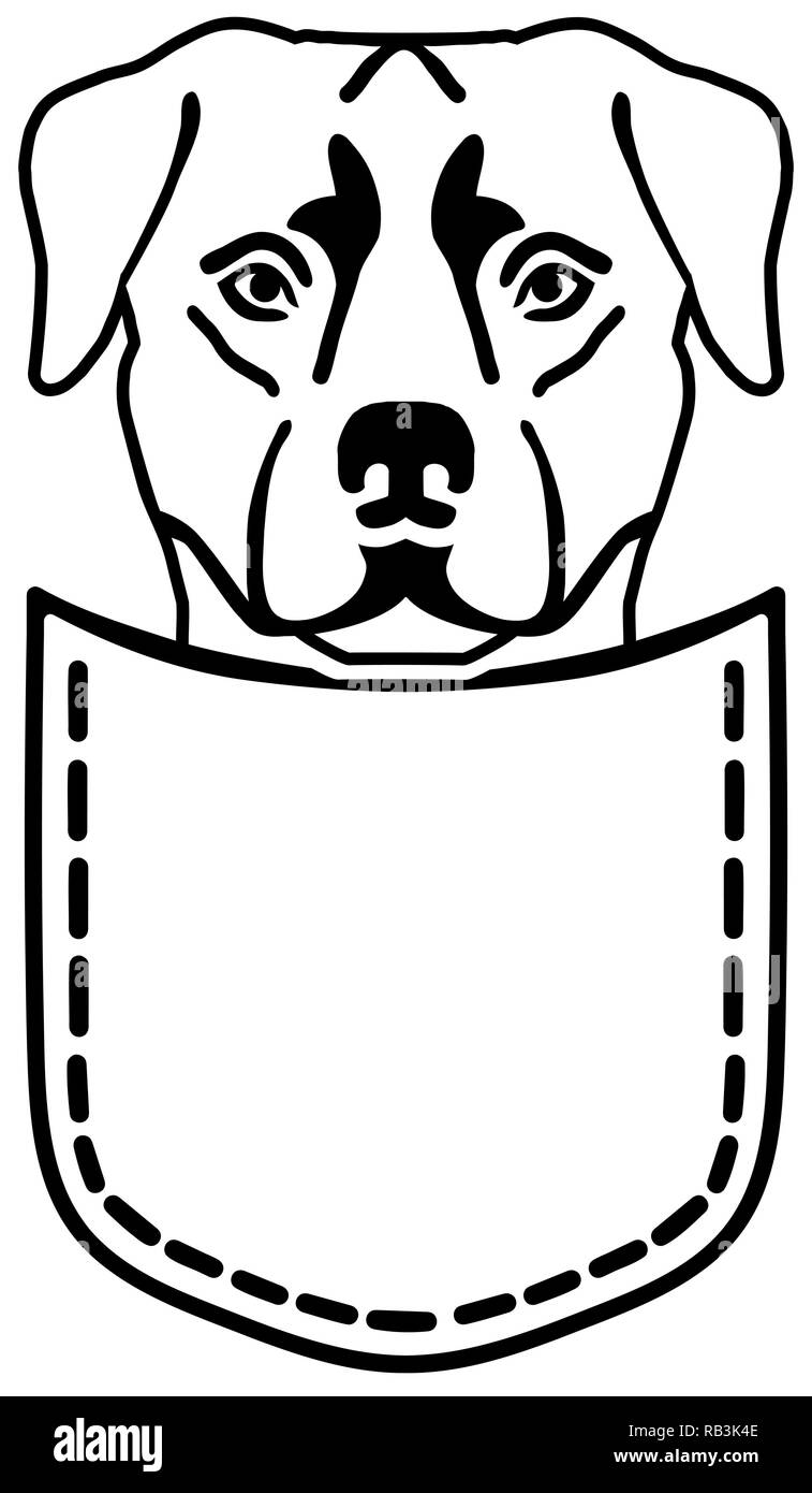 Rottweiler in una tasca plack e bianco Illustrazione Vettoriale
