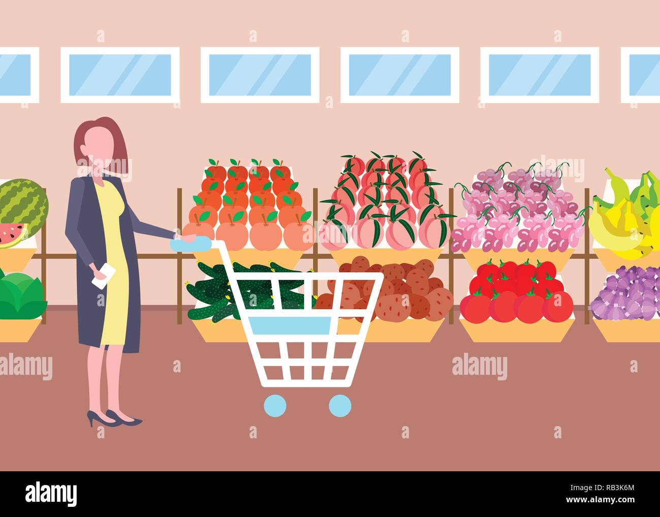 Donna del cliente azienda carrello carrello acquisti organico fresco frutta verdura supermercato moderno centro commerciale interno femmina personaggio dei cartoni animati per tutta la lunghezza orizzontale piana Illustrazione Vettoriale