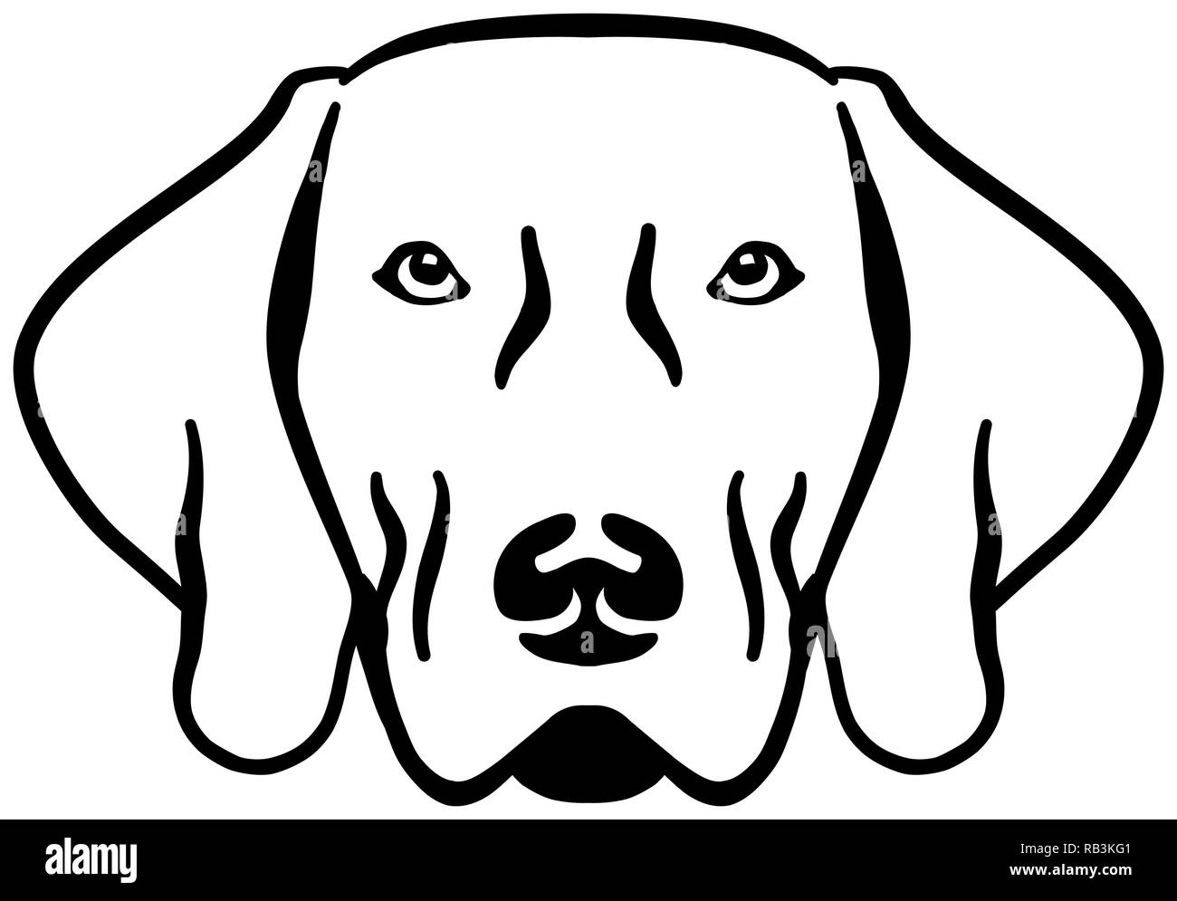 Testa Weimaraner in bianco e nero Illustrazione Vettoriale