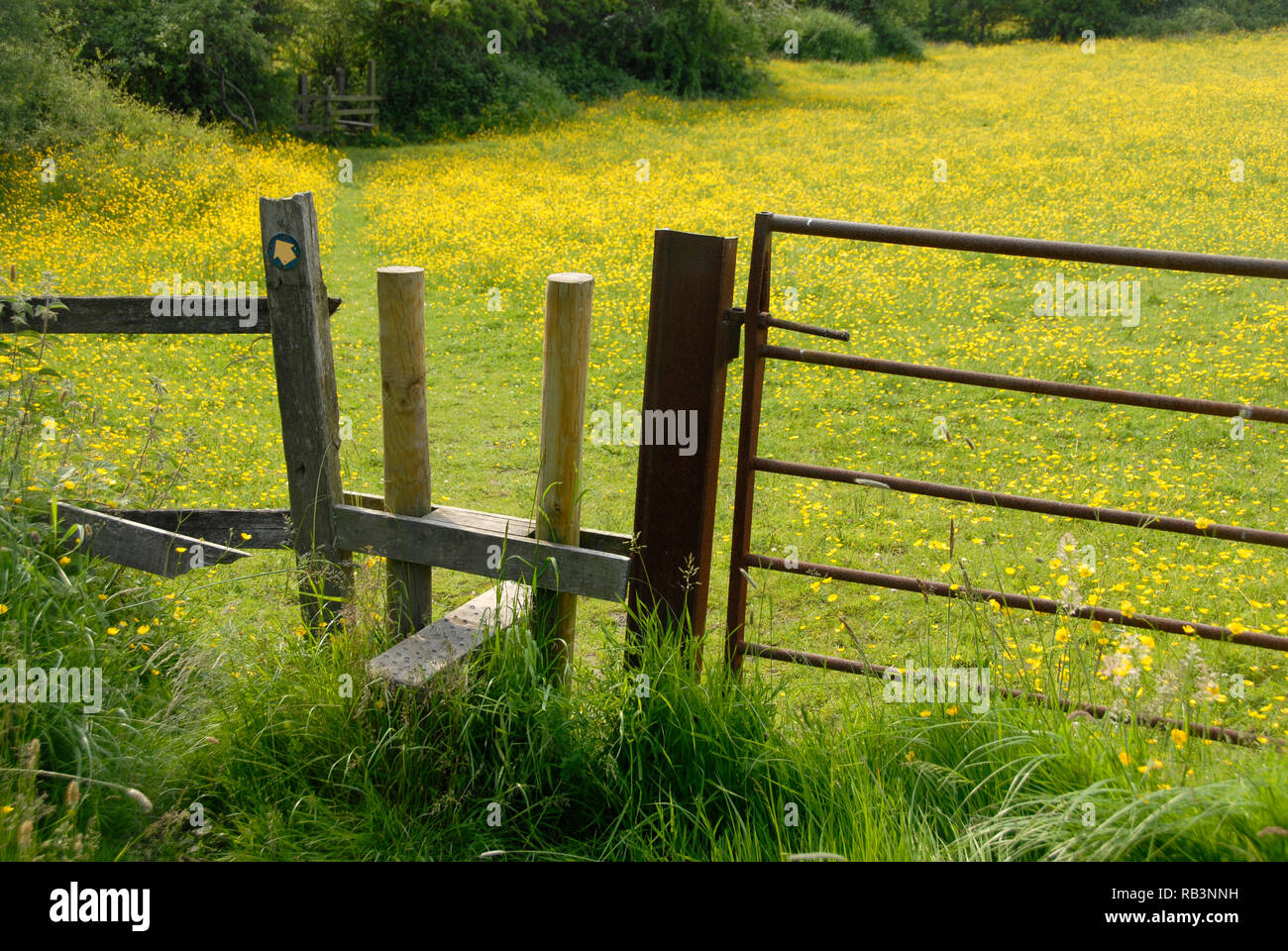 Stile di accesso tra i campi su un sentiero pubblico, Inghilterra Foto Stock