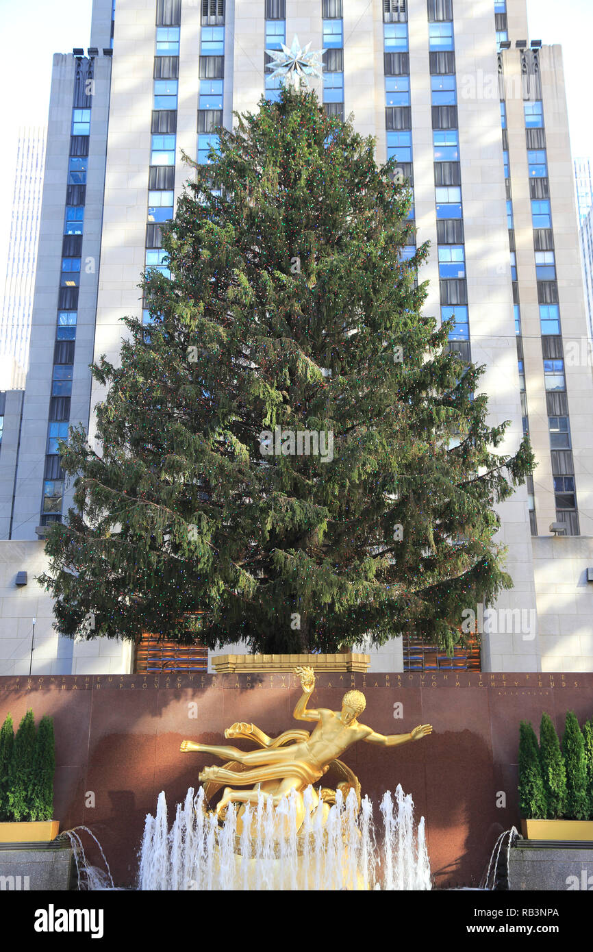 Albero di Natale, Rockefeller Center Manhattan, New York, New York, Stati Uniti d'America Foto Stock
