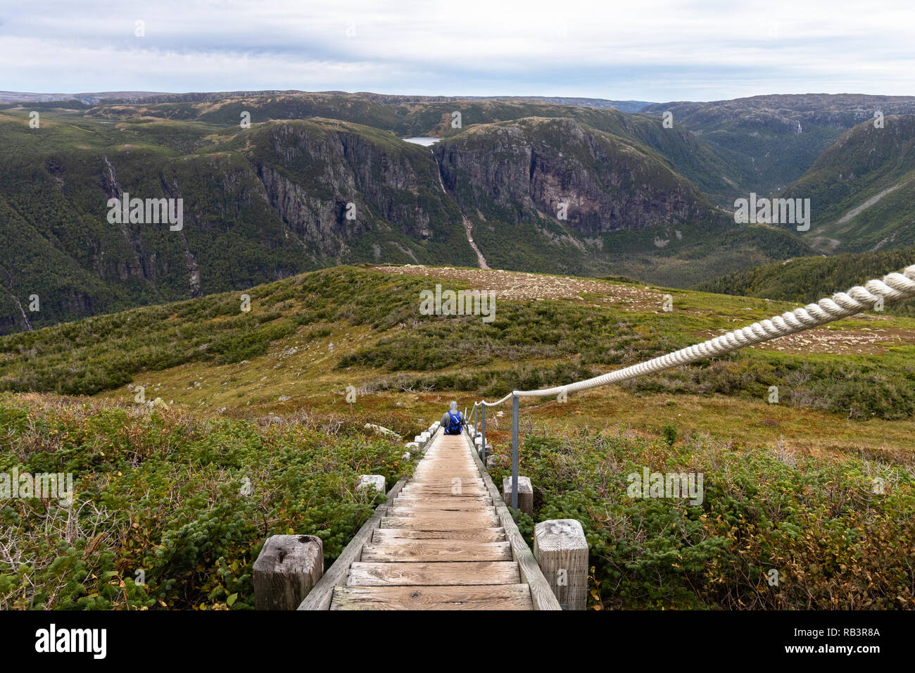 Un escursionista in appoggio e tenendo nella vista su scale in cima di Gros Morne Mountain in Terranova Foto Stock