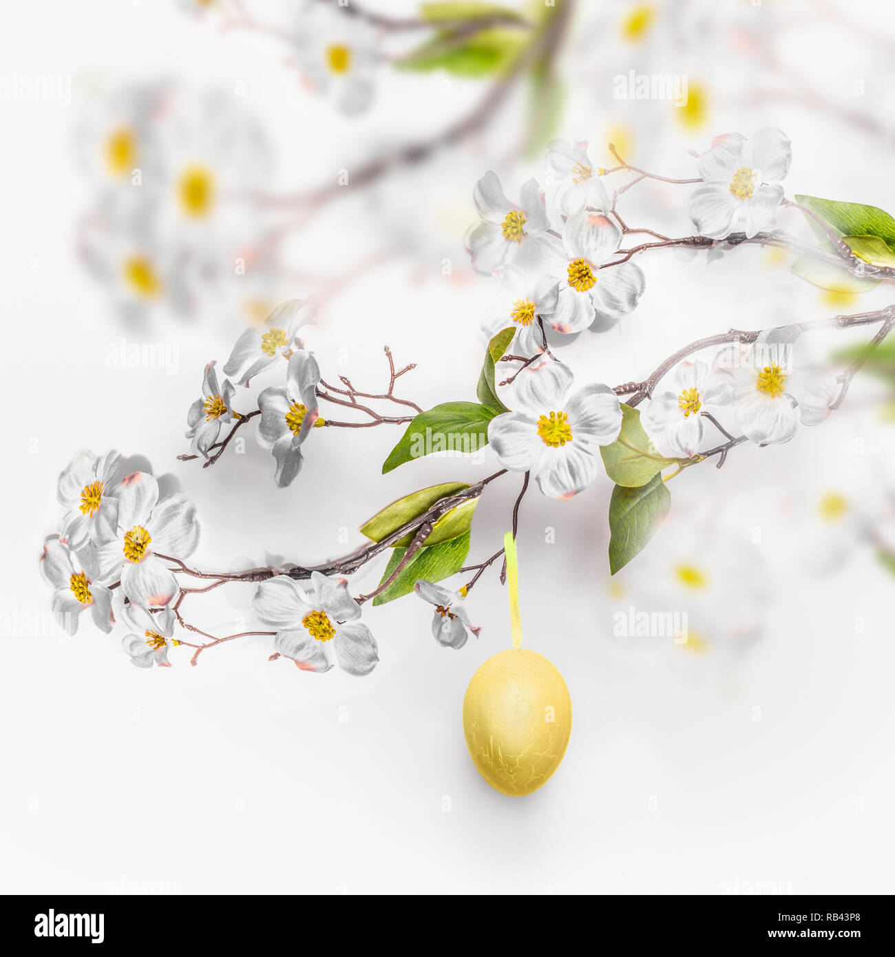 La molla blossom rami con appeso giallo uovo di Pasqua a muro bianco sullo sfondo. Foto Stock