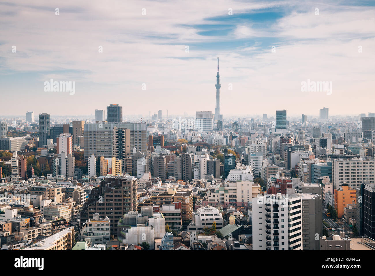 Paesaggio urbano di Tokyo e Skytree in Giappone Foto Stock