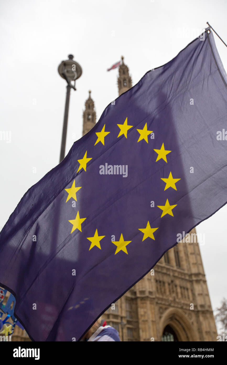 Londra, Regno Unito. Il 7 gennaio 2019. I manifestanti da entrambi i lati del dibattito Brexit raccogliere al di fuori del Parlamento Credito: George Wright Cracknell/Alamy Live News Foto Stock