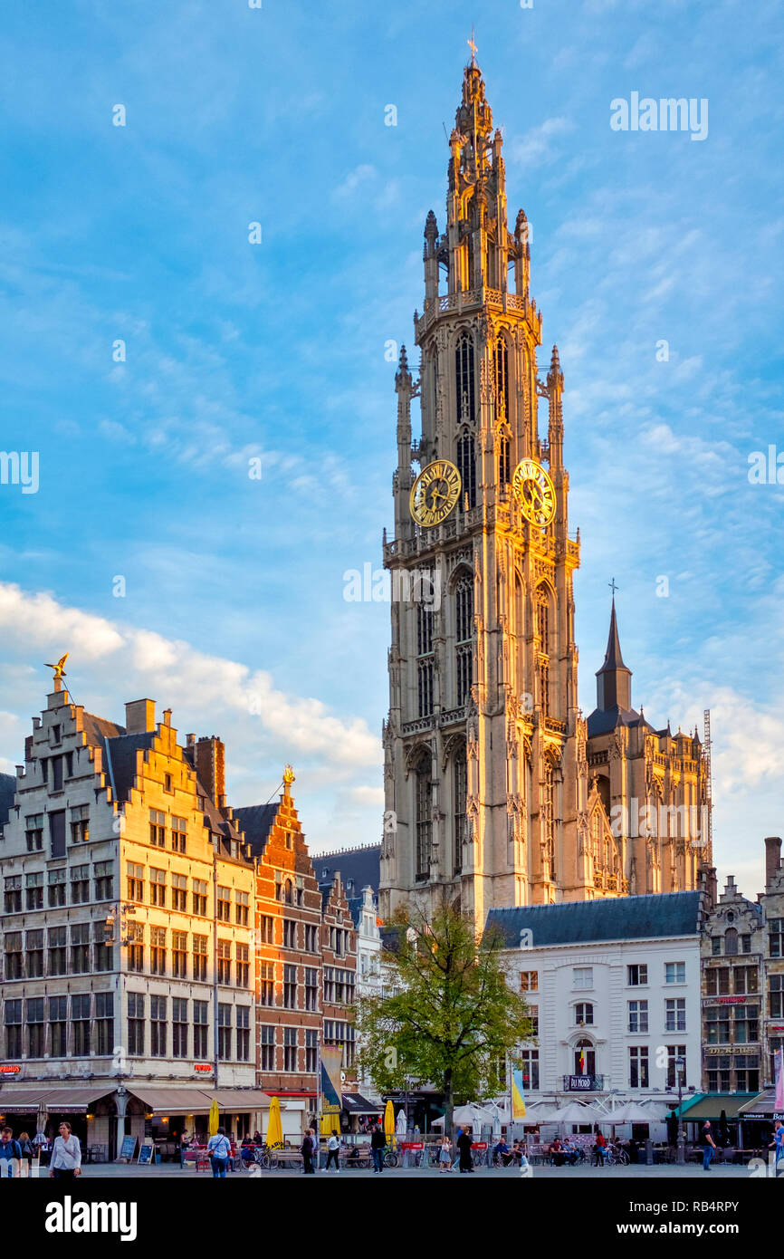 Grote Markt ("Grande Piazza del Mercato") con il campanile della cattedrale di Nostra Signora in background di Anversa, Belgio Foto Stock