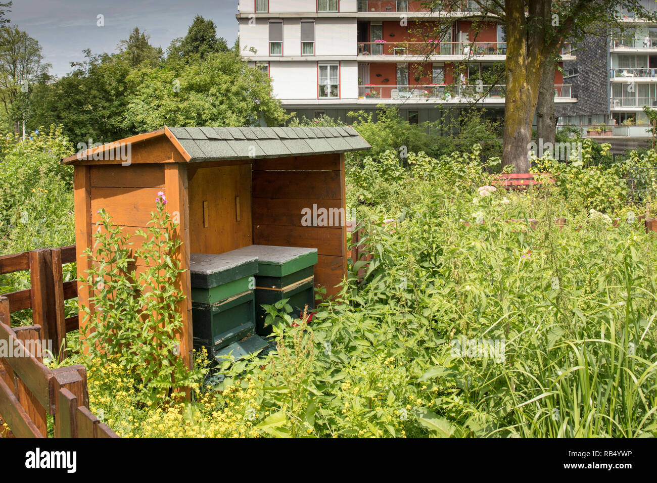 I Paesi Bassi, Amsterdam, Botteskerkpark, alveari in città farm. Foto Stock