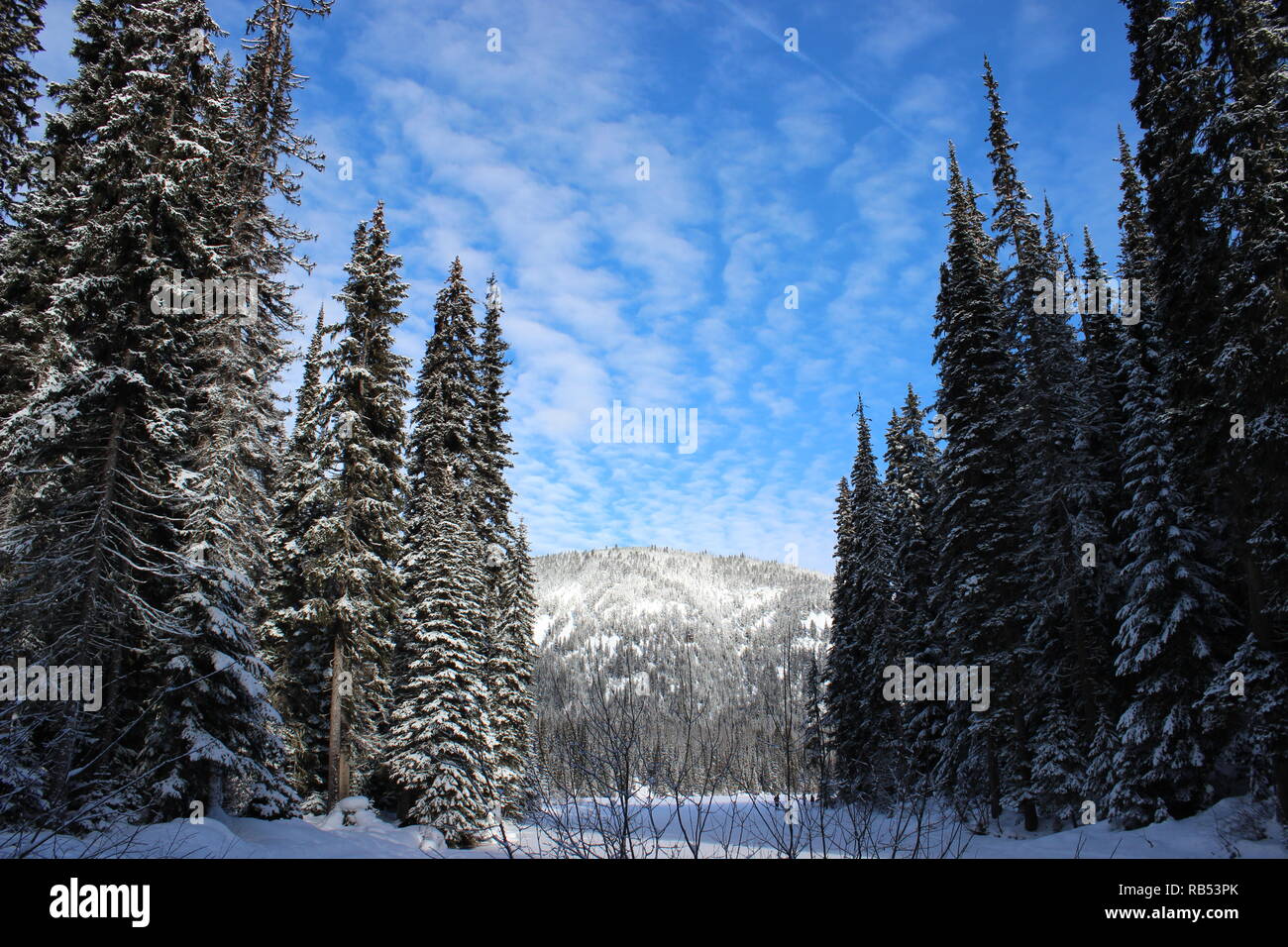 Lago di alleggerimento in inverno Foto Stock