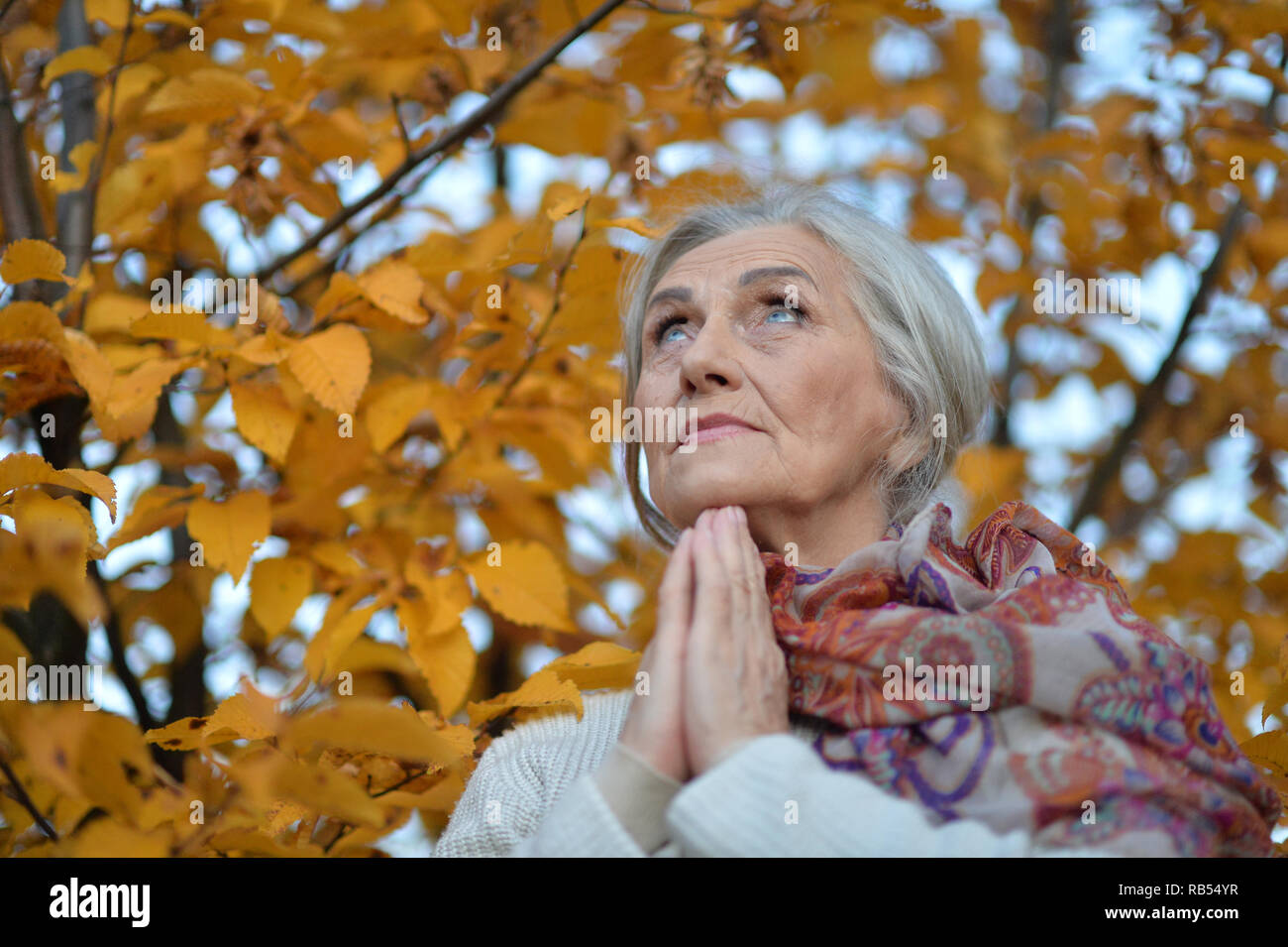 Ritratto di donna senior di pregare in autunno sfondo giallo Foto Stock