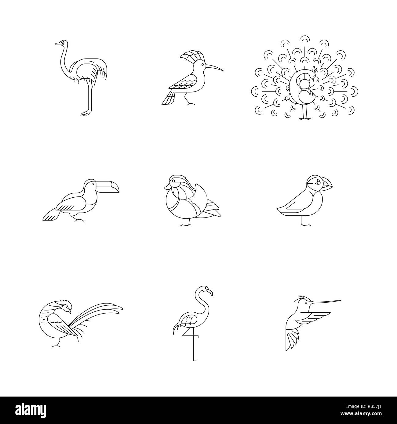 Gli uccelli sono diverse specie. Icona linea set. Può essere utilizzato per il logo, stampa, sito web Illustrazione Vettoriale