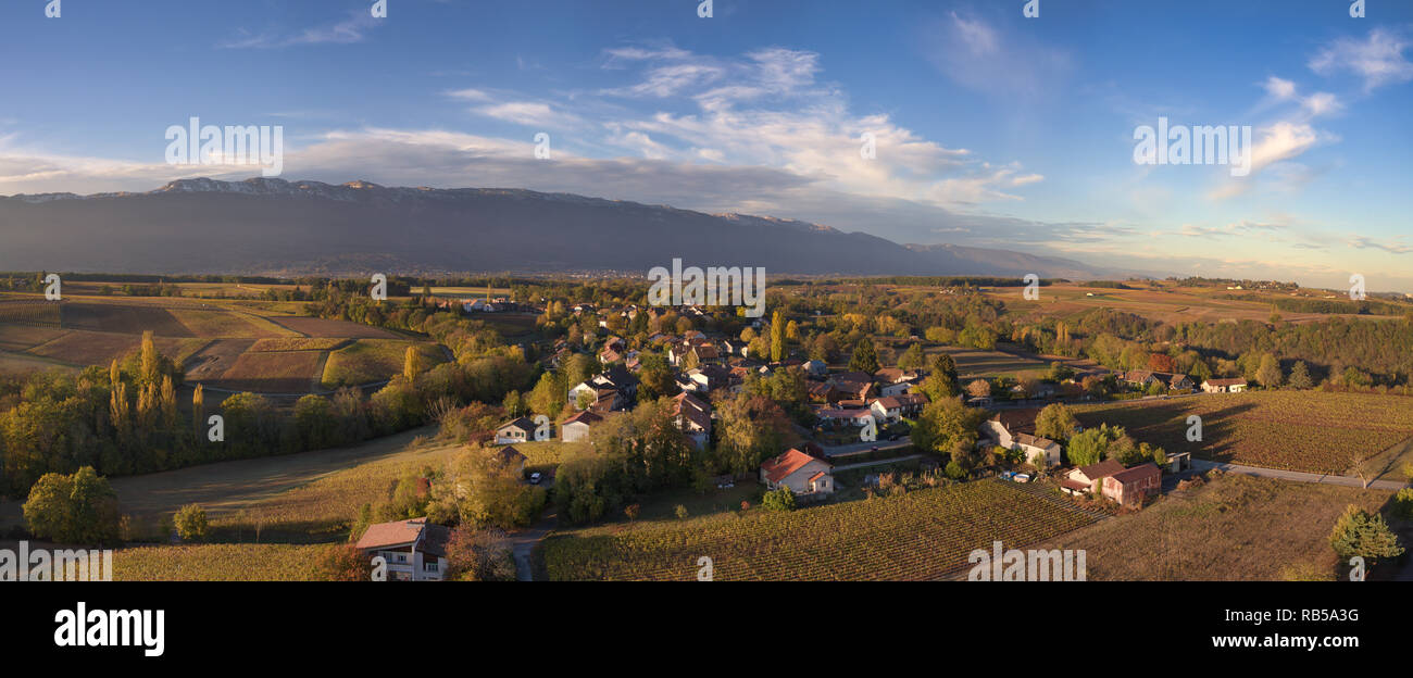 Panoramica aerea della Svizzera villaggio vinicolo di Dardagny nel Cantone di Ginevra con i suoi vigneti e le montagne del Giura in background Foto Stock