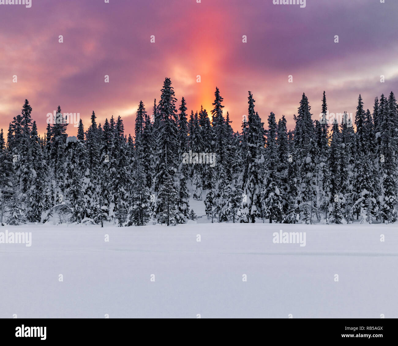Sunrise nel nord della Svezia durante un freddo inverno mattina. Con le prime luci dell'anno passando sopra l'orizzonte creando un sunray sopra gli alberi. Foto Stock