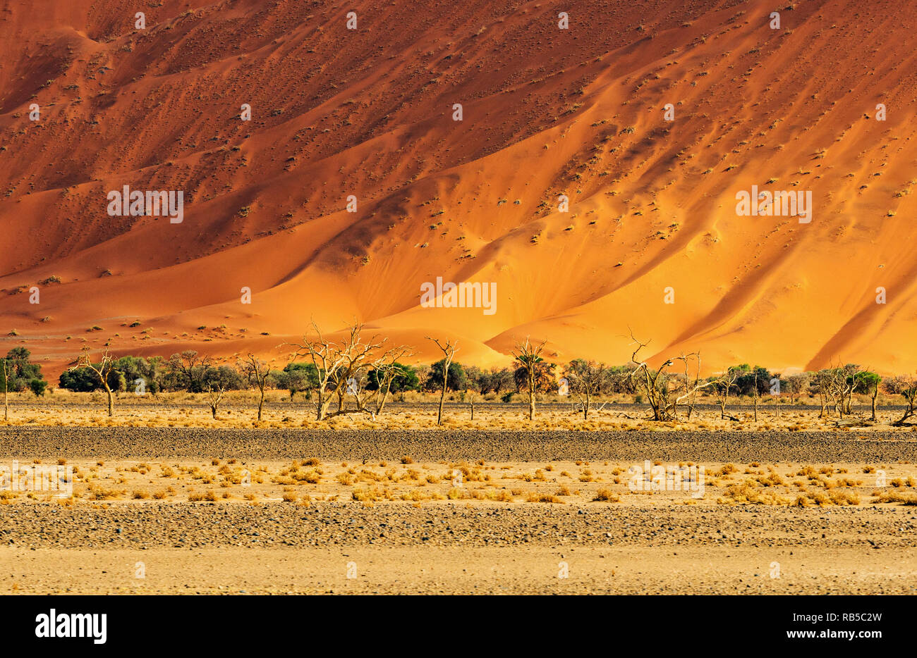 Incredibile paesaggio deserto intorno Sossuvlei in Namibia, Africa salina di Sossusvlei. La Namibia. L'Africa. Foto Stock