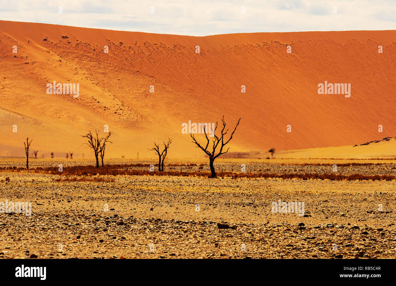 Incredibile paesaggio deserto intorno Sossuvlei in Namibia, Africa salina di Sossusvlei. La Namibia. L'Africa. Foto Stock
