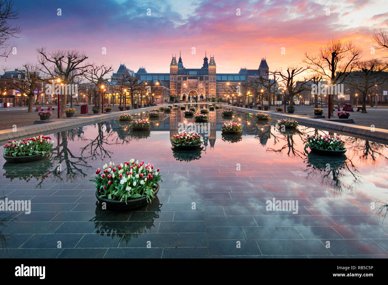 I Paesi Bassi, Amsterdam, Rijksmuseum, esterno, architetto Pierre Cuypers. I tulipani in piscina, Dawn, sunrise. Foto Stock