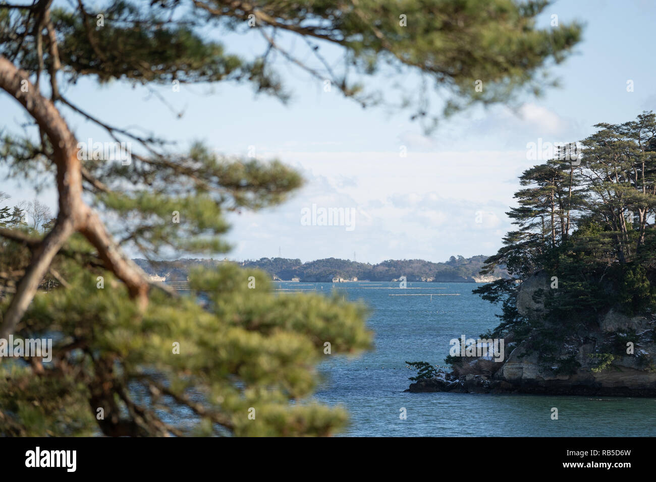 Matsushima Bay nel Tohoku, Giappone Foto Stock