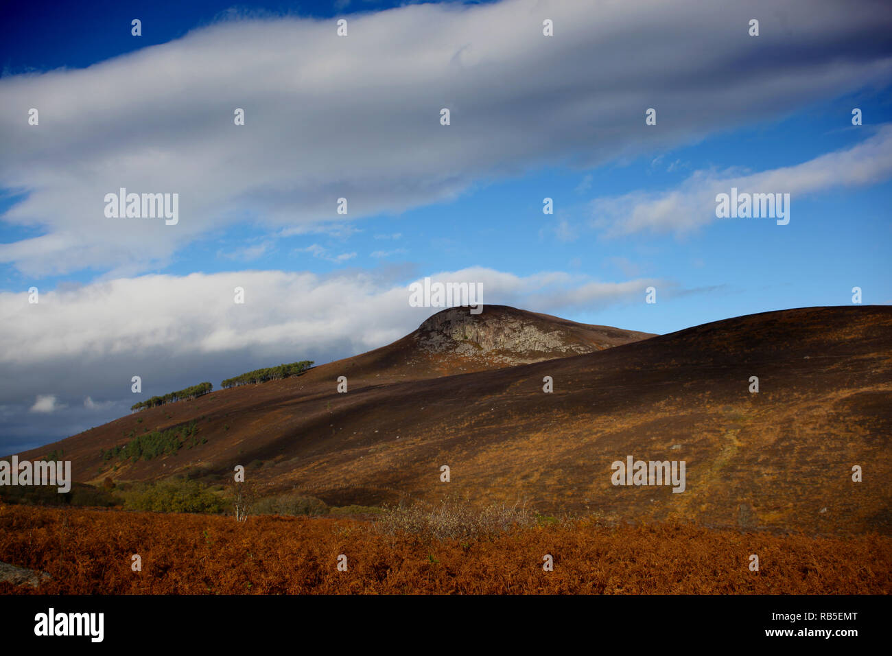 Struie Hill nelle Highlands scozzesi Sutherland Scotland Regno Unito Foto Stock