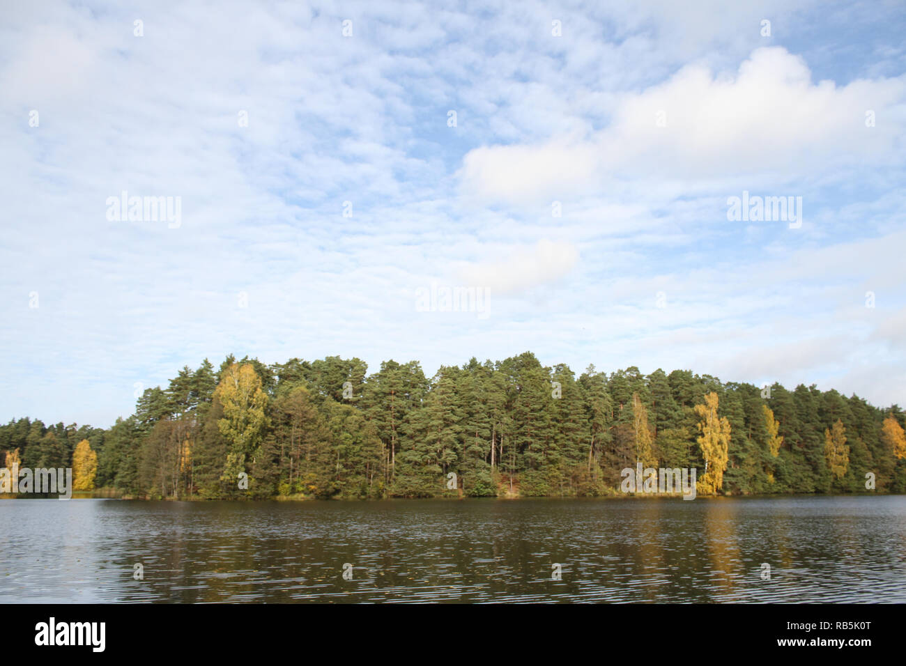 Splendido inizio autunno vista incredibile di alberi del parco vicino all'acqua. Il paesaggio si trova in campagna, Lettonia - Europa. Foto Stock
