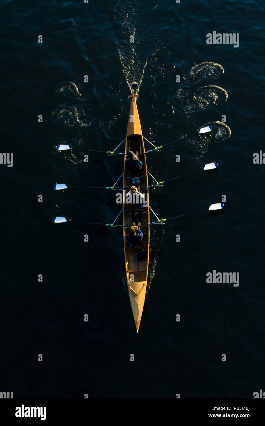 Close-up di un potente team di remi in barca a remi. Foto Stock