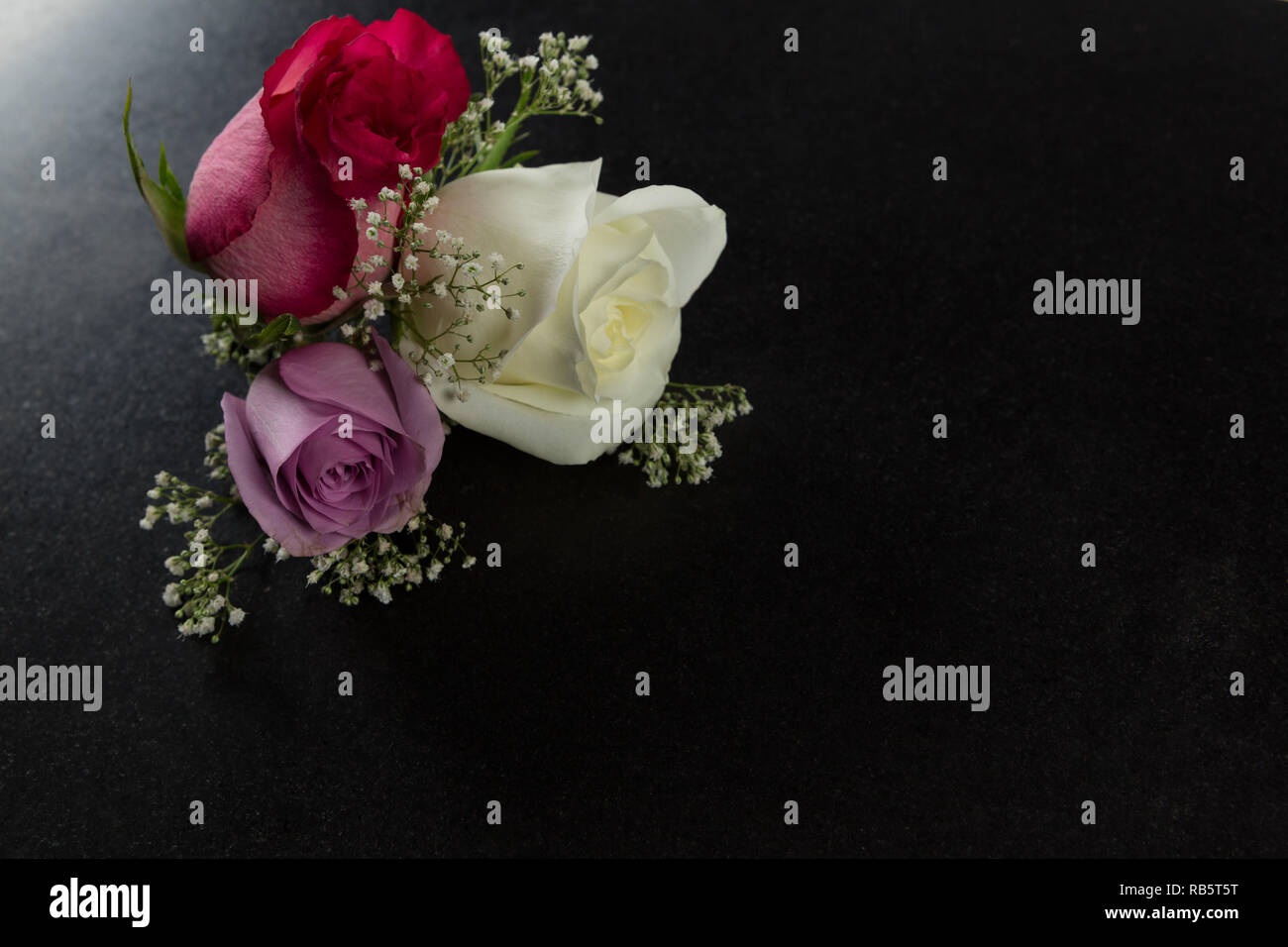 Rose fiori disposti su sfondo nero Foto Stock