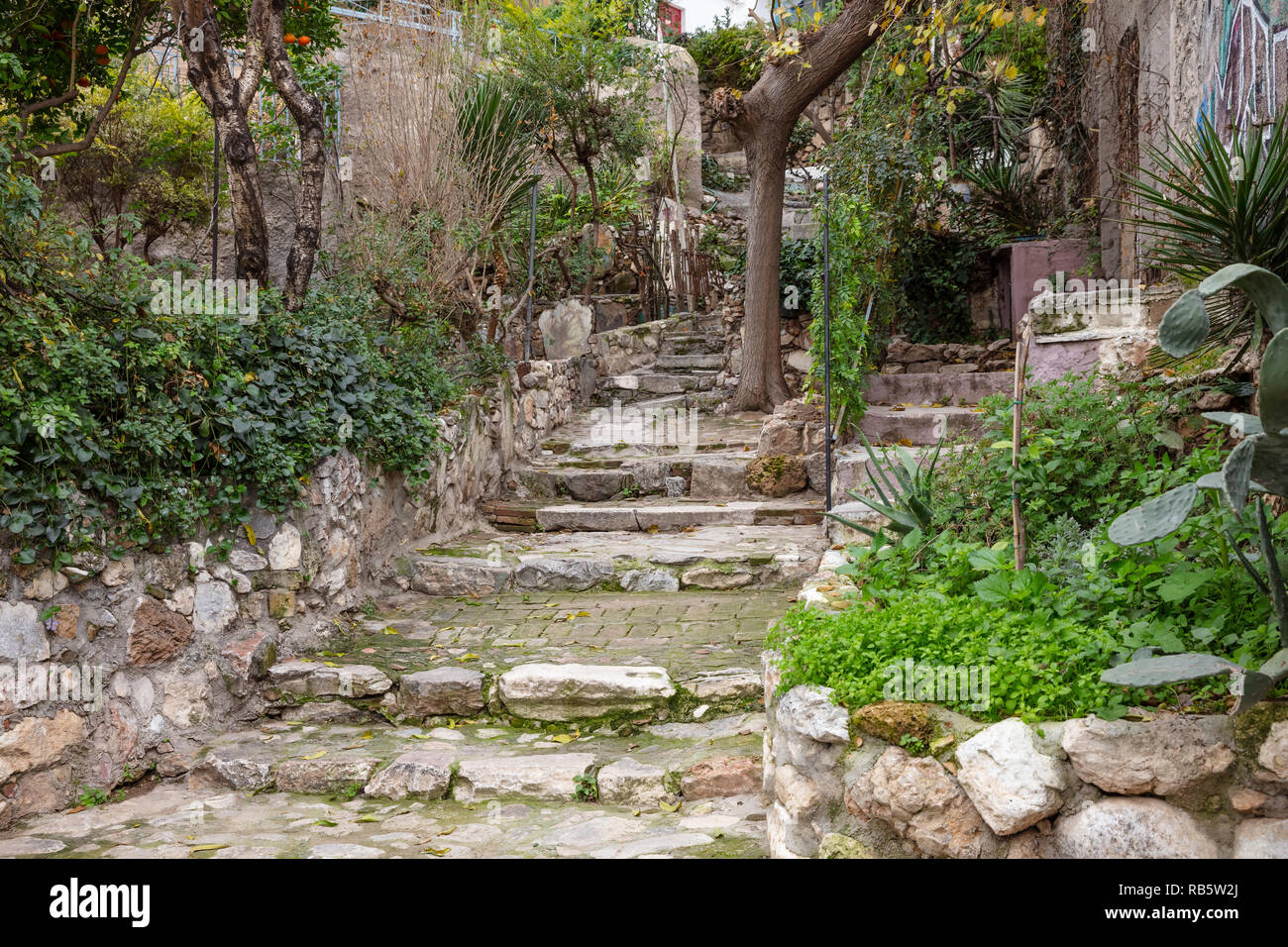 La Plaka, Atene Grecia. Città vecchia con scale strette, facciate di case e alberi. Angolo basso, in prospettiva Foto Stock