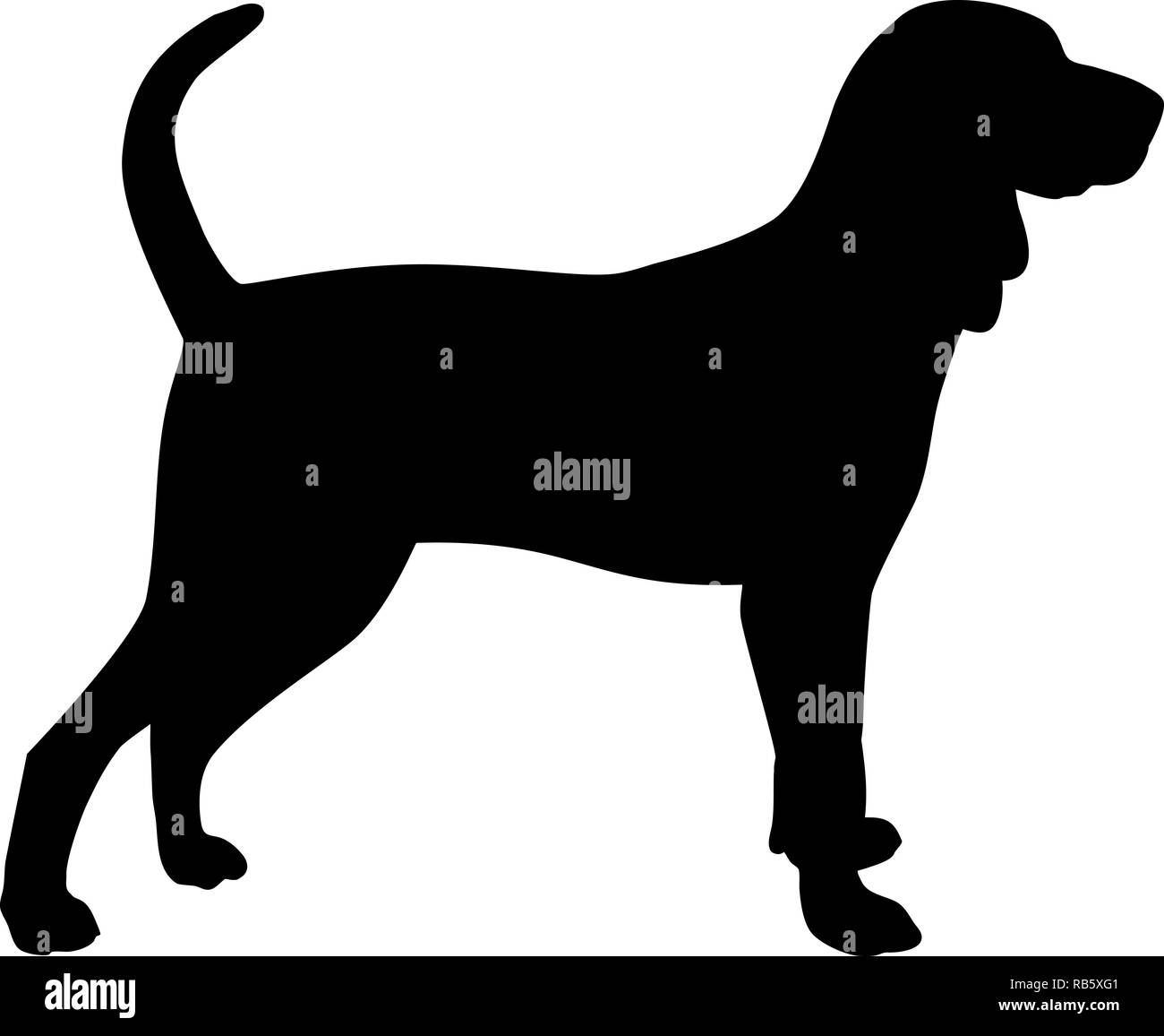 Nero e Marrone Coonhound silhouette real in nero Foto Stock