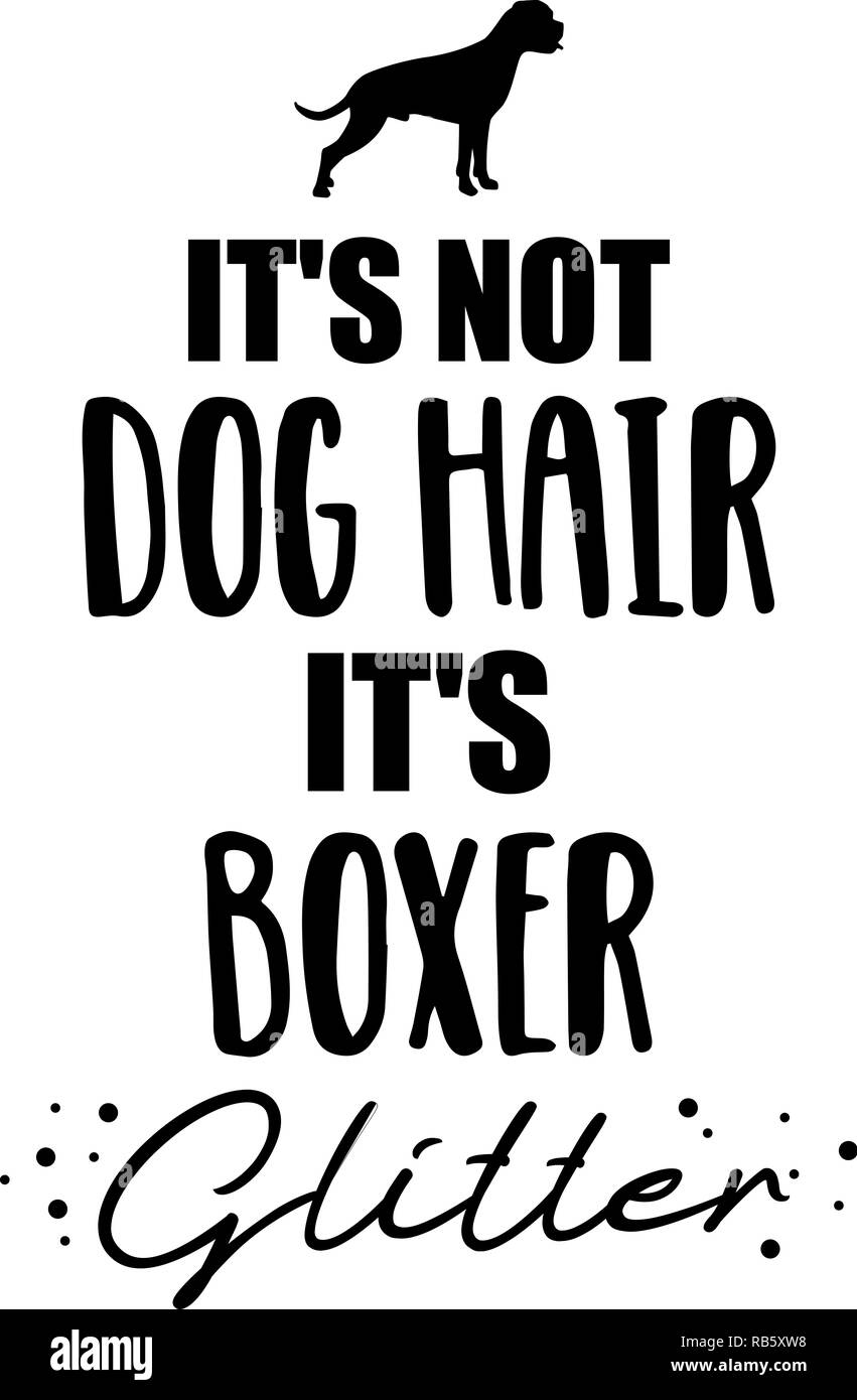 Non si tratta di capelli del cane, Boxer glitter slogan Foto Stock