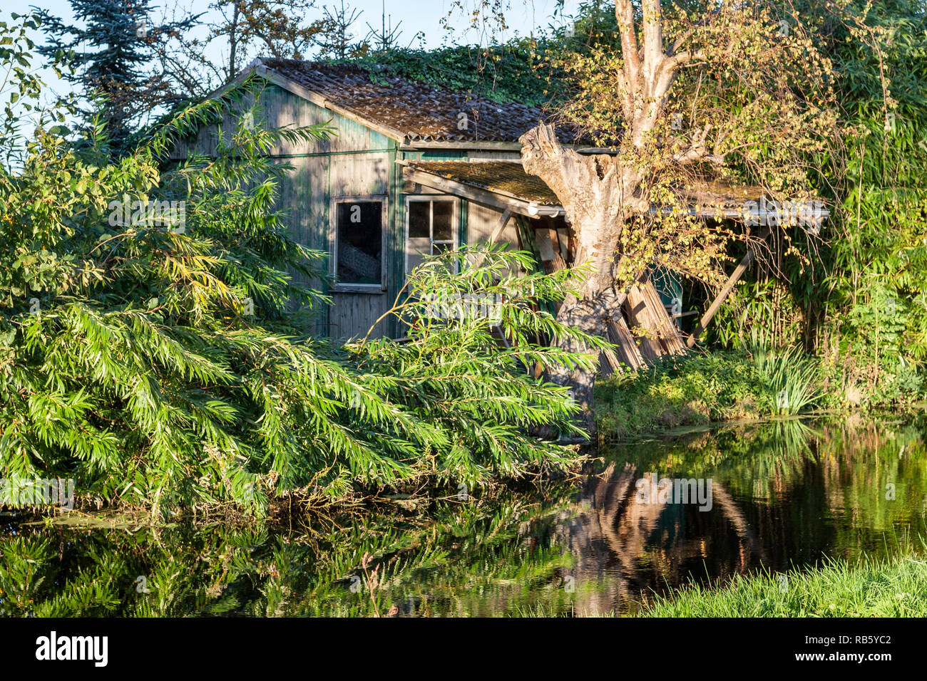 Vecchio vivaio fienile in Boskoop, Olanda. Essa può essere considerata come il vivaio dei capitali del mondo. In vecchi giorni hanno usato per fare le talee. Foto Stock