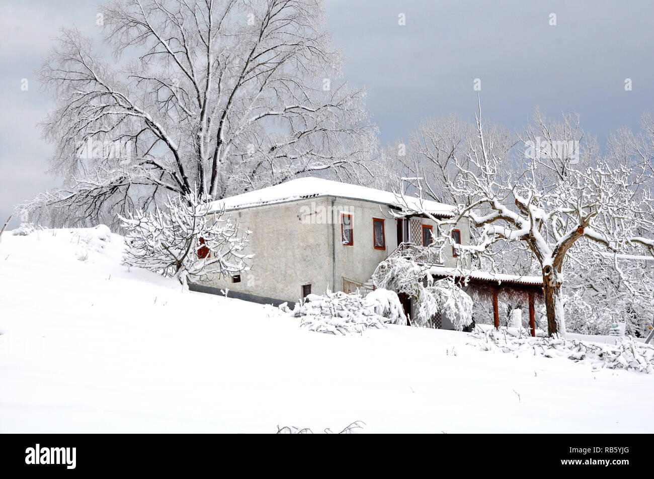 Una vecchia casa tra alberi innevati Foto Stock