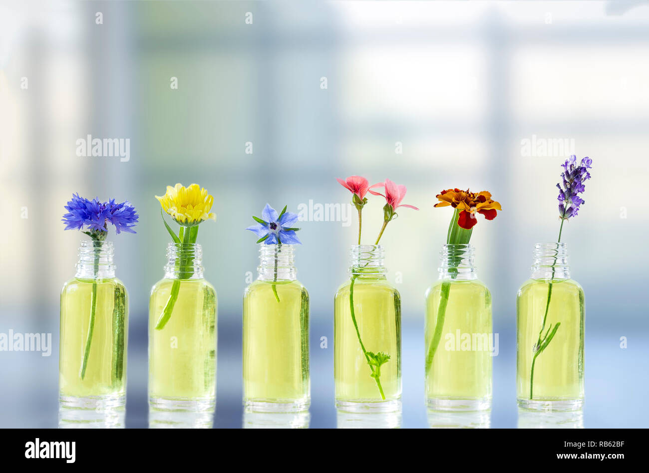 Diversi fiori di guarigione in piccoli flaconi di vetro olio essenziale Foto Stock