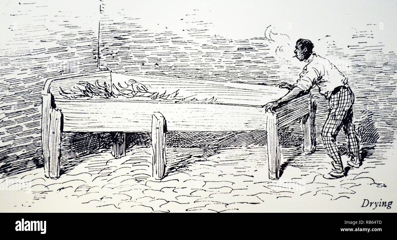 Machado la fabbrica di sigari, Giamaica: essiccazione foglia. Incisione dall ''Il grafico'', Londra, 1889. Foto Stock