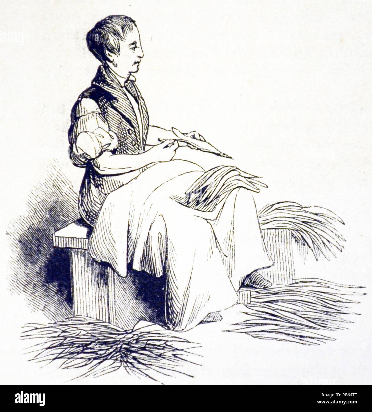 Rimozione dei fusti e la preparazione di foglie di tabacco pronto per il sigaro maker, Londra. Xilografia, 1841. Foto Stock