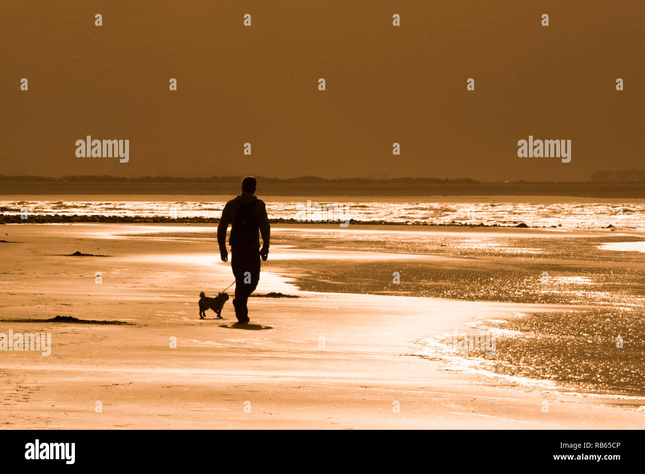 Barmouth Beach, con dog walker, nel tardo pomeriggio di sole Foto Stock