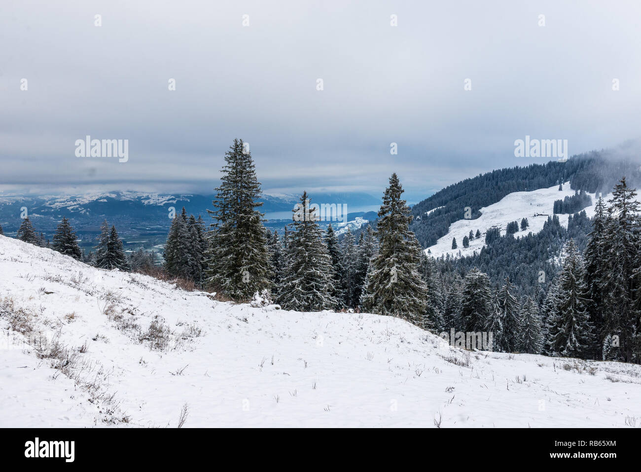 In inverno la zona Gantrisch, Berner Oberland Foto Stock