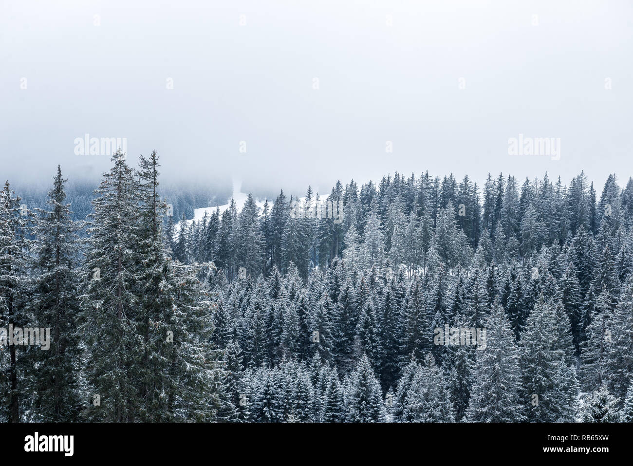 In inverno la zona Gantrisch, Berner Oberland Foto Stock