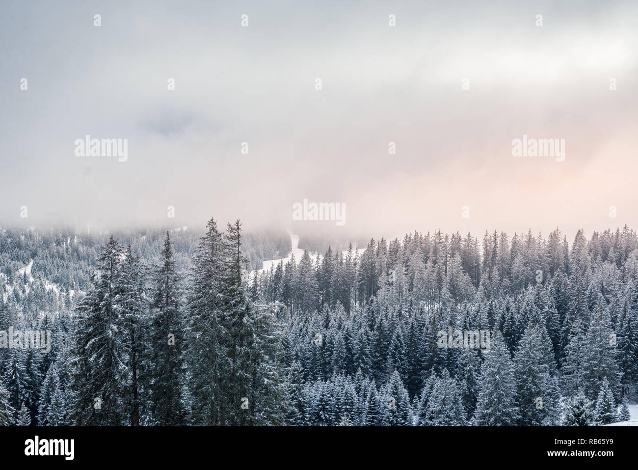 In inverno la zona Gantrisch, Berner Oberland Foto Stock