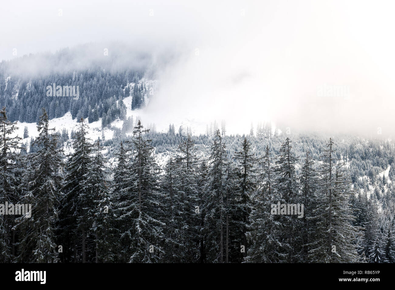 In inverno la zona Gantrisch, Berner Oberland Foto Stock