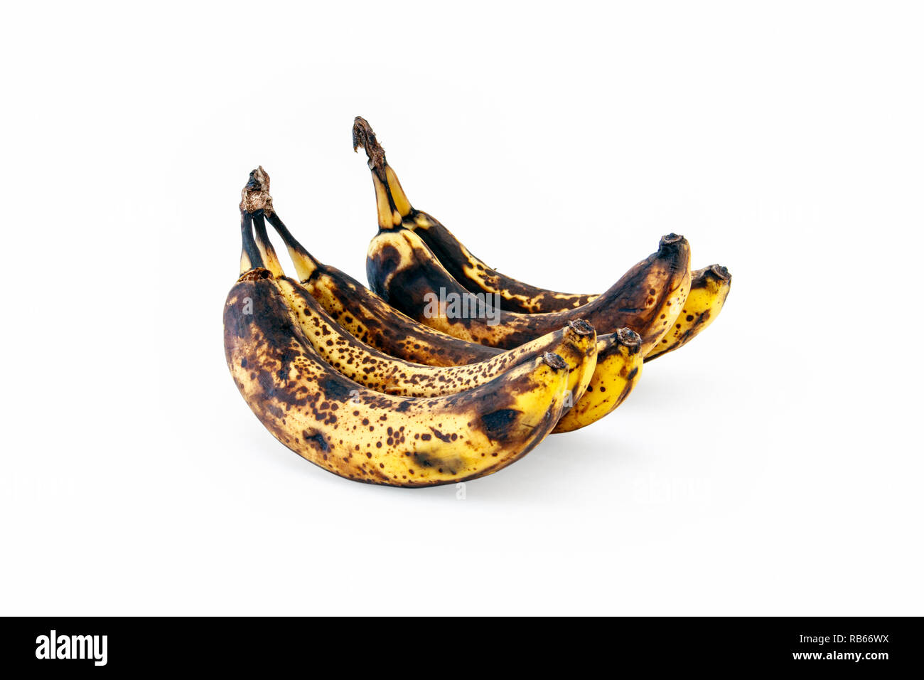 Un mazzetto di molto le banane stramature isolato su uno sfondo bianco Foto Stock