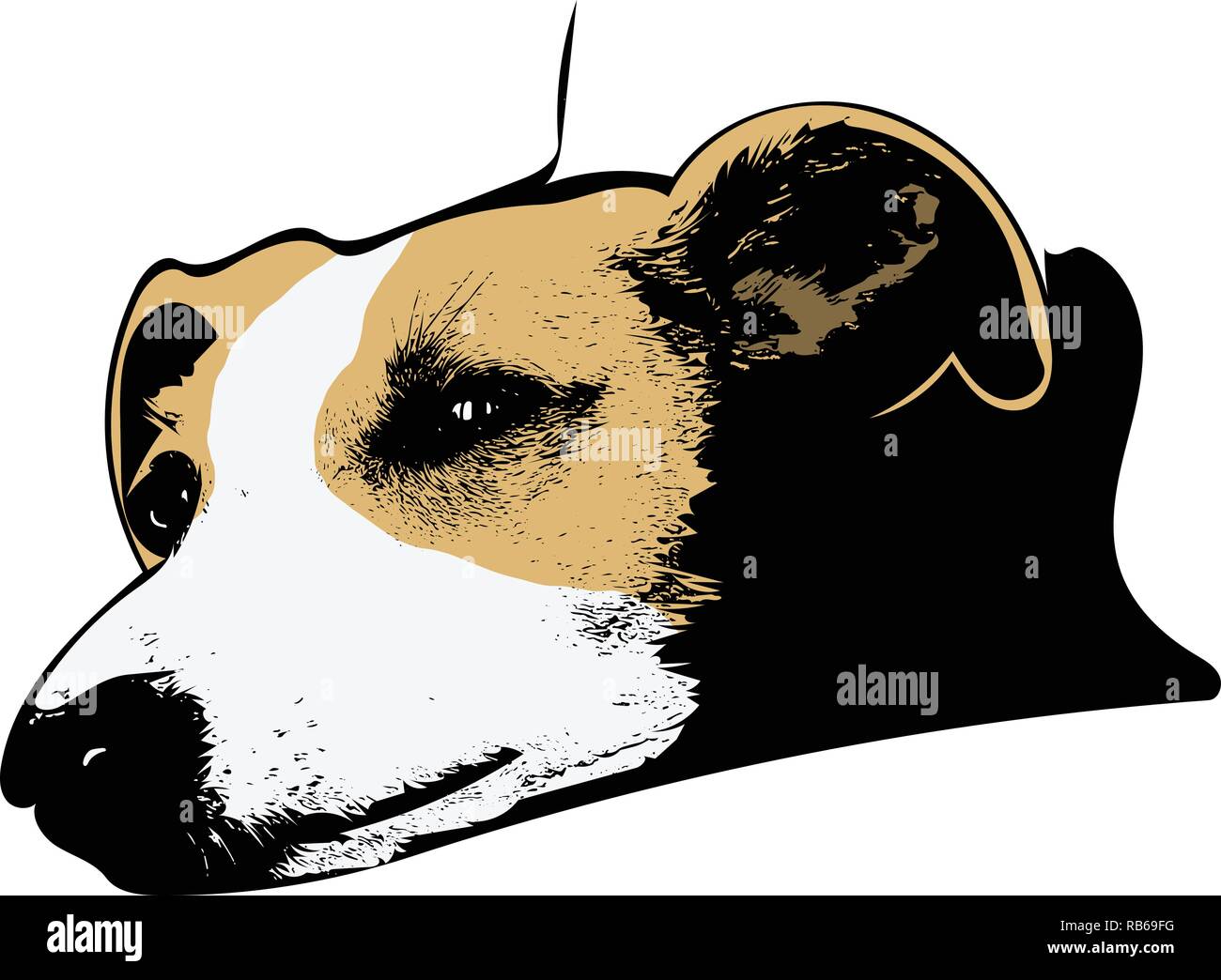 Arte vettoriale di beige e bianco whippet testa in appoggio con testa teso. Illustrazione Vettoriale