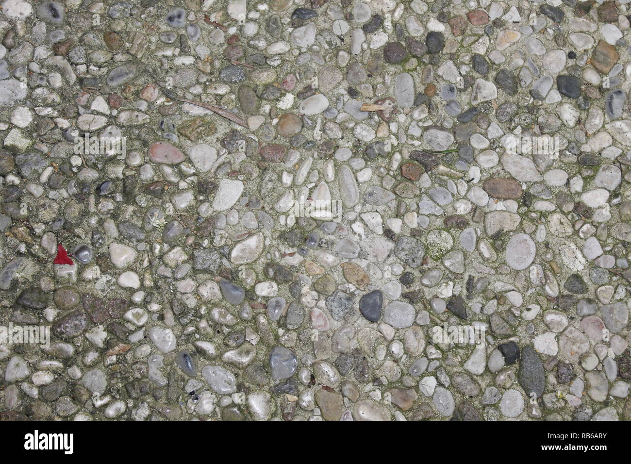 Ciottoli piastrelle per pavimento in background senza giunture. Cemento misto ghiaia di pavimento in pietra texture. Wet round ciottoli rock piano di illuminazione drammatica Foto Stock