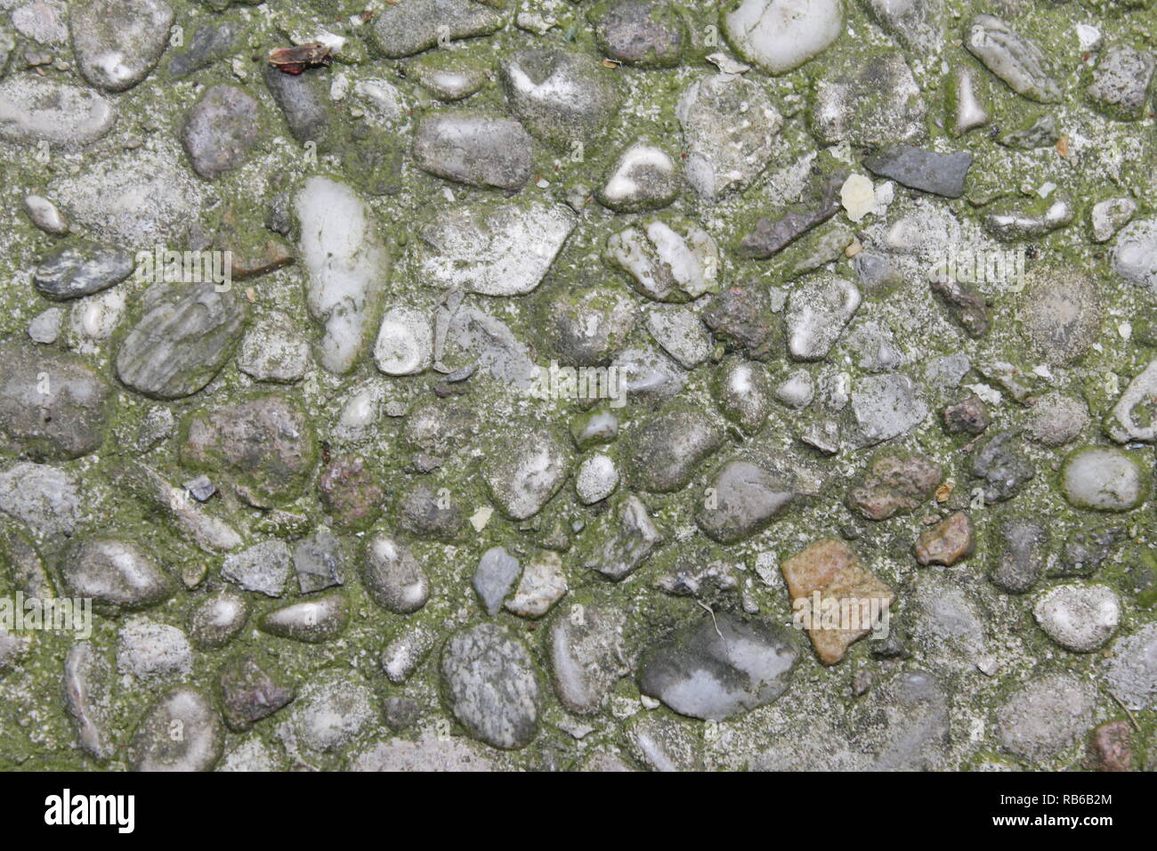 Ciottoli piastrelle per pavimento in background senza giunture. Cemento misto ghiaia di pavimento in pietra texture. Wet round ciottoli rock piano di illuminazione drammatica Foto Stock