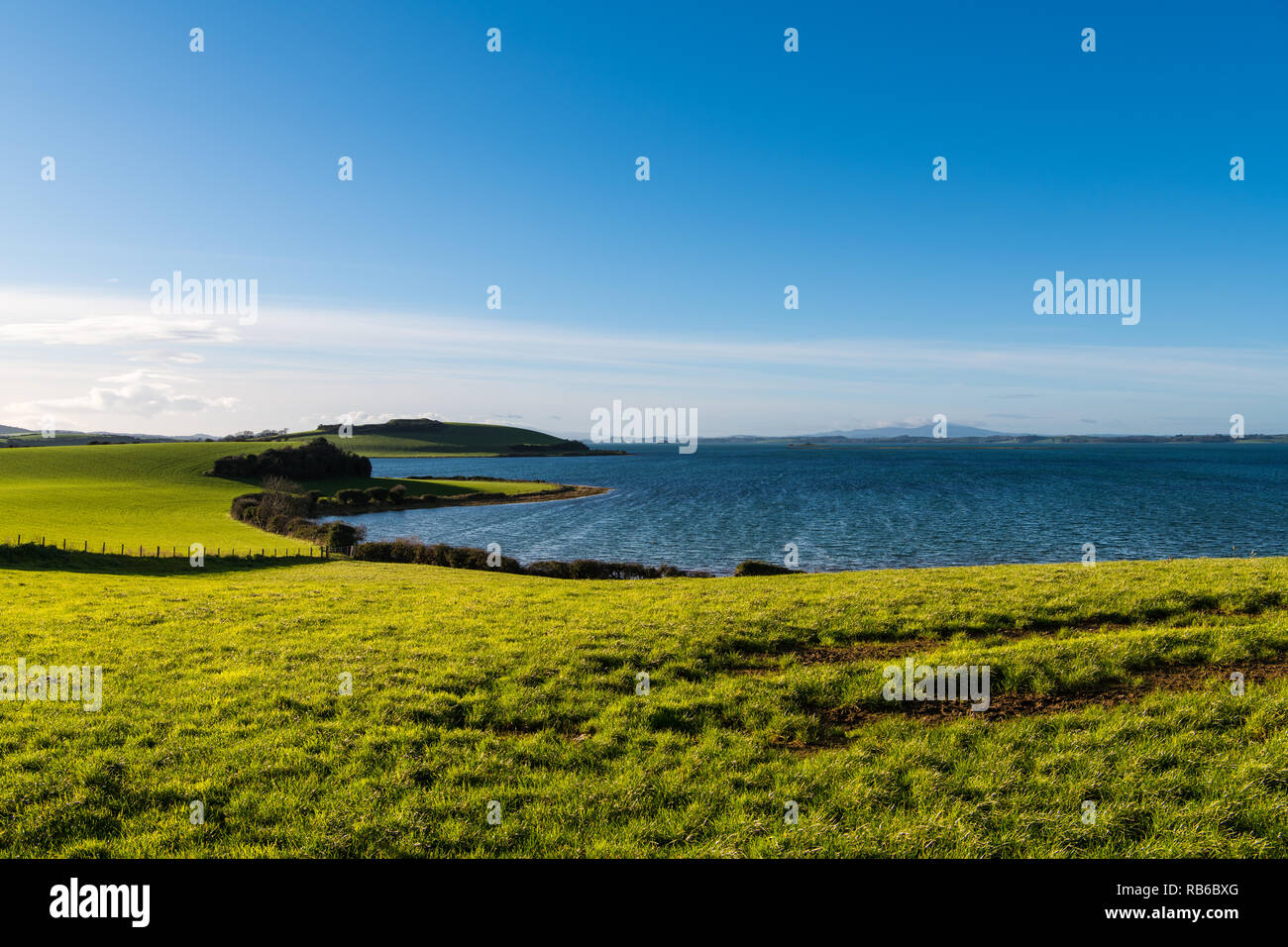Splendido litorale di curvatura delle lussureggianti e verdi, campi erbosi sotto un sole cielo blu lungo Strangford Lough in Irlanda del Nord Foto Stock